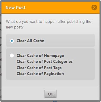 Wp Fastest Cache New post settings