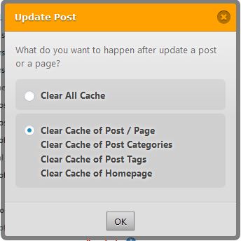 Wp Fastest Cache Update Post settings
