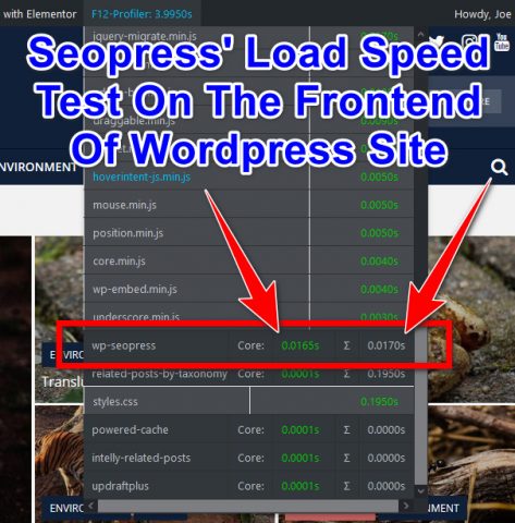 Seopress Performance Speed Test Results: Frontend